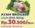 Promo Harga Ayam Broiler 800 gr - Yogya