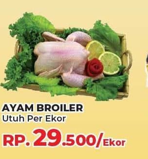 Promo Harga Ayam Broiler 500 gr - Yogya