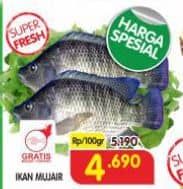 Promo Harga Ikan Mujair per 100 gr - Superindo