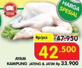 Promo Harga Ayam Kampung  - Superindo