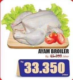 Promo Harga Ayam Broiler 500 gr - Hari Hari