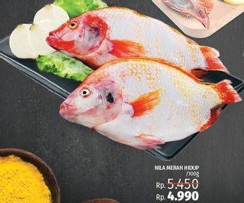 Promo Harga Ikan Nila Merah Hidup per 100 gr - LotteMart
