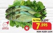 Promo Harga Ikan Kuek Lilin per 100 gr - Superindo