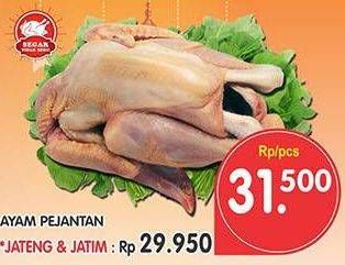 Promo Harga Ayam Pejantan  - Superindo