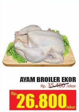 Promo Harga Ayam Broiler  - Hari Hari