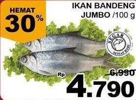 Promo Harga Ikan Bandeng Jumbo per 100 gr - Giant