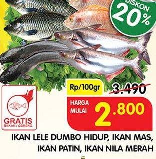 Promo Harga Ikan Lele Dumbo Hidup, Ikan Mas, Ikan Patin, Ikan Nila Merah  - Superindo