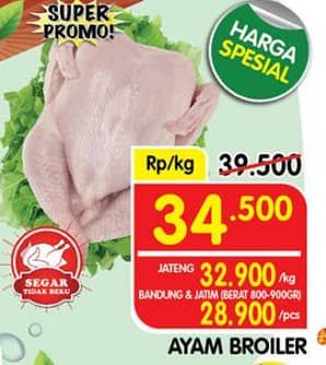 Ayam Broiler