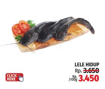 Promo Harga Lele Hidup per 100 gr - LotteMart