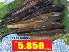 Promo Harga Ikan Gabus per 100 gr - Hari Hari