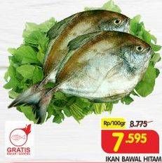 Promo Harga Ikan Bawal Hitam per 100 gr - Superindo