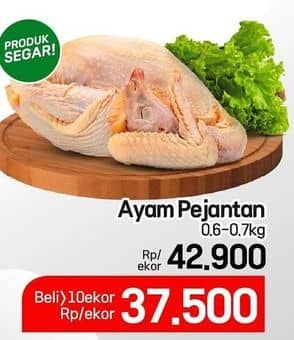 Promo Harga Ayam Pejantan 600 gr - Lotte Grosir