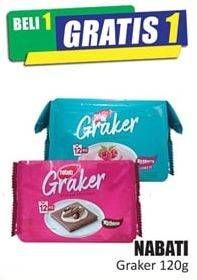 Promo Harga NABATI Graker Graham Crackers 120 gr - Hari Hari