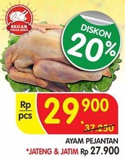 Promo Harga Ayam Pejantan  - Superindo