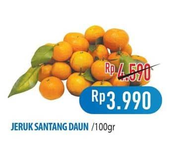 Promo Harga Jeruk Shantang Daun per 100 gr - Hypermart