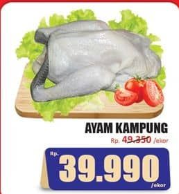 Promo Harga Ayam Kampung 500 gr - Hari Hari