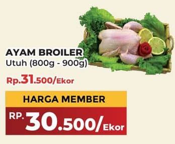 Promo Harga Ayam Broiler 800 gr - Yogya