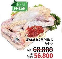 Promo Harga Ayam Kampung  - LotteMart