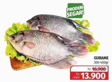 Promo Harga Ikan Gurame  - Lotte Grosir