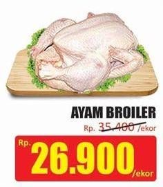 Promo Harga Ayam Broiler  - Hari Hari