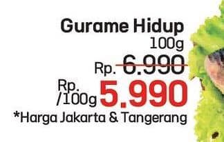 Promo Harga Ikan Gurame Hidup per 100 gr - LotteMart