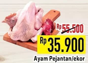 Promo Harga Ayam Pejantan 500 gr - Hypermart