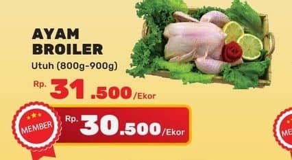 Promo Harga Ayam Broiler 800 gr - Yogya