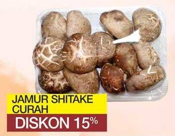 Promo Harga Jamur Shitake  - Yogya