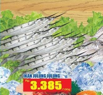 Promo Harga Ikan Julung Julung per 100 gr - Hari Hari