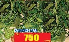 Promo Harga Kangkung Akar per 100 gr - Hari Hari