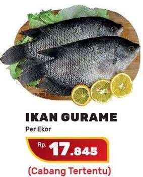 Promo Harga Ikan Gurame  - Yogya