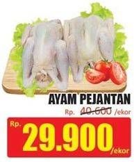 Promo Harga Ayam Pejantan  - Hari Hari