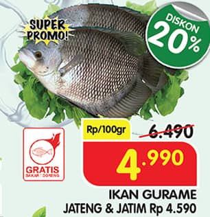 Promo Harga Ikan Gurame per 100 gr - Superindo