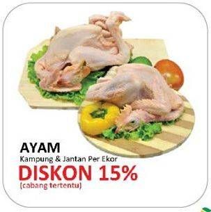 Promo Harga Ayam Kampung & Ayam Pejantan  - Yogya