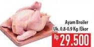 Promo Harga Ayam Broiler  - Hypermart