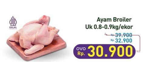 Promo Harga Ayam Broiler 800 gr - Hypermart