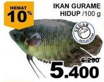 Promo Harga Ikan Gurame Hidup per 100 gr - Giant