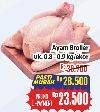 Promo Harga Ayam Broiler 800 gr - Hypermart