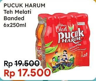 Promo Harga Teh Pucuk Harum Minuman Teh Jasmine 250 ml - Indomaret