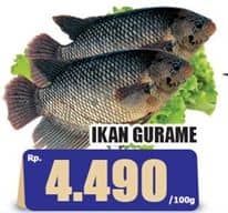 Promo Harga Ikan Gurame per 100 gr - Hari Hari