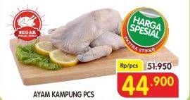 Promo Harga Ayam Kampung  - Superindo