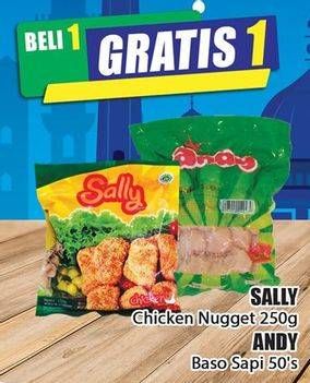 Promo Harga SALLY Chicken Nuggets 250g, ANDY Baso Sapi 50s  - Hari Hari