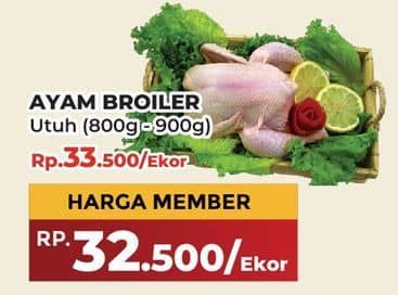 Promo Harga Ayam Broiler 800 gr - Yogya