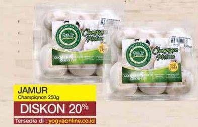 Promo Harga Jamur Champignon (Jamur Kancing)  - Yogya