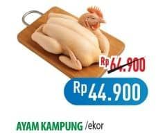 Promo Harga Ayam Kampung 500 gr - Hypermart
