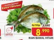 Promo Harga Ikan Bawal Hitam per 100 gr - Superindo