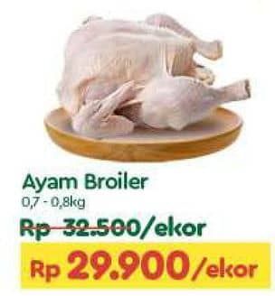 Promo Harga Ayam Broiler 700 gr - TIP TOP