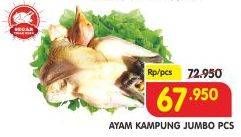 Promo Harga Ayam Kampung Jumbo  - Superindo