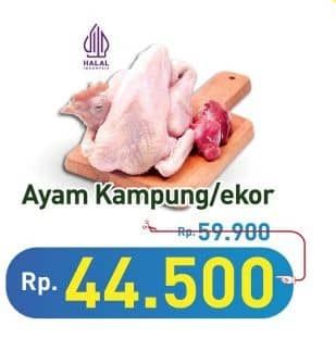 Promo Harga Ayam Kampung 500 gr - Hypermart