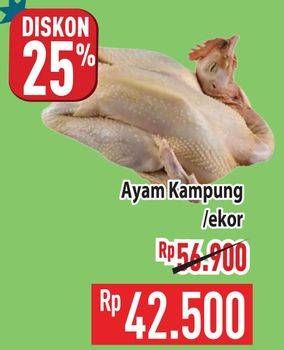 Promo Harga Ayam Kampung 500 gr - Hypermart